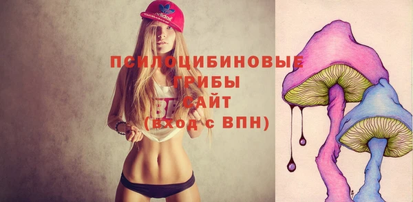 не бодяженный Алексин