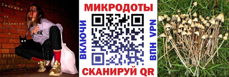 хочу Чистополь Псилоцибиновые грибы прущие грибы